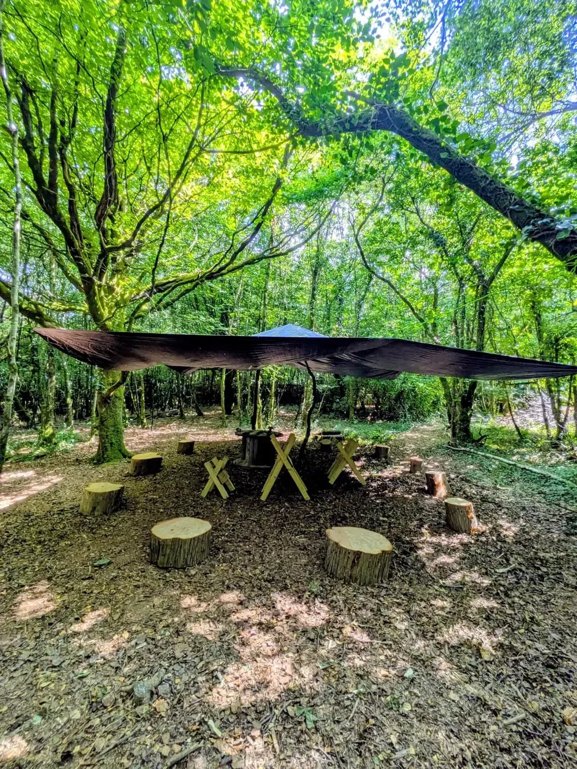 The woodwork area: sawhorse benches and log seats under the big tarp shelter in the woodland The woodwork area: sawhorse benches and log seats under the big tarp shelter in the woodland